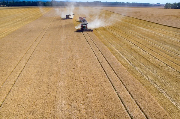 Mähdrescher und Traktoren arbeiten auf dem Weizenfeld — Stockfoto