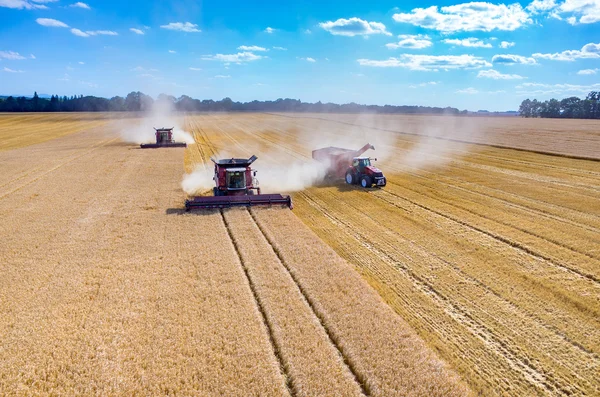 Combinaisons et tracteurs travaillant sur le champ de blé — Photo