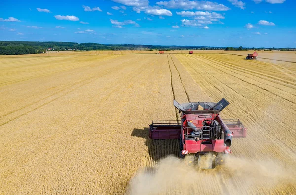 Combinaciones y tractores que trabajan en el campo de trigo — Foto de Stock