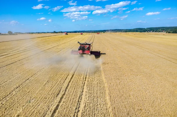Комбайни і трактори, що працюють на пшеничному полі — стокове фото