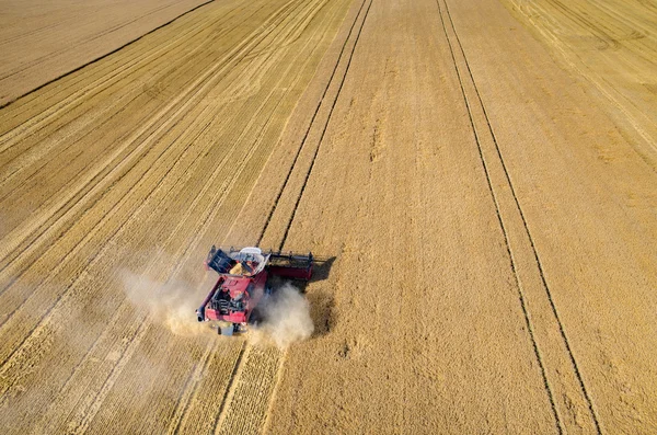 麦畑で作業を組み合わせる — ストック写真