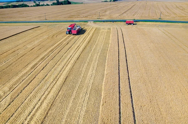 Naplnění kamionu s semeno pšenice — Stock fotografie