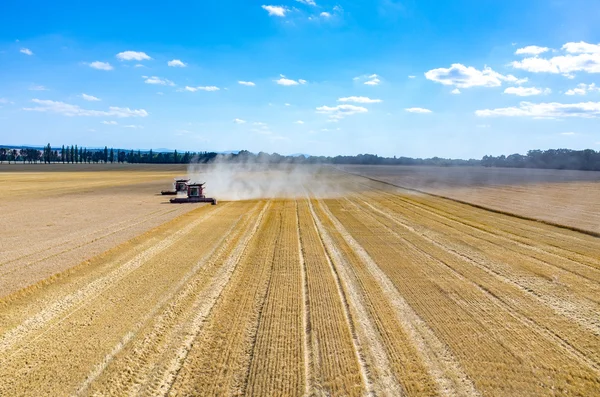 Combinazioni e trattori che lavorano sul campo di grano — Foto Stock