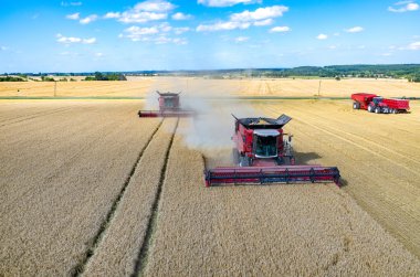 Birleştirir ve buğday sahada çalışan Traktörler