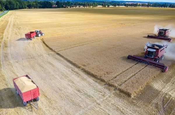 Skördetröskor och traktorer arbetar på fältet vete — Stockfoto