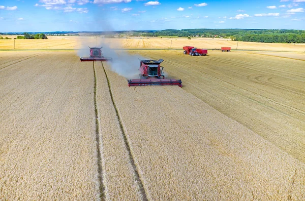 Combinaisons et tracteurs travaillant sur le champ de blé — Photo