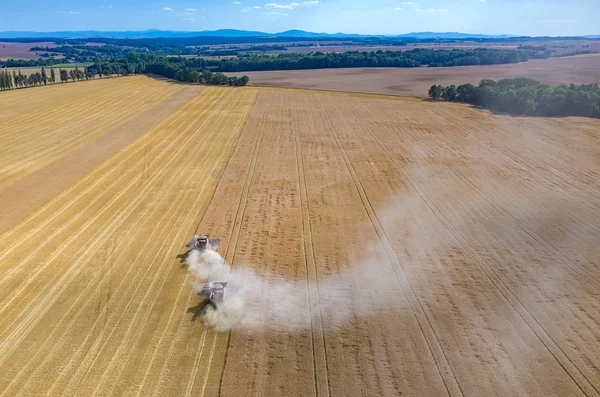 Kombajny a traktory, pracující na poli pšenice — Stock fotografie