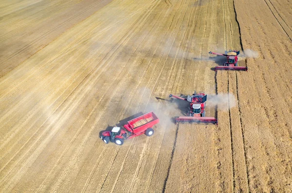 Combinaciones y tractores que trabajan en el campo de trigo — Foto de Stock