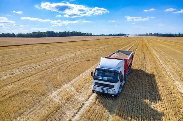 Der mit Weizensamen gefüllte LKW — Stockfoto