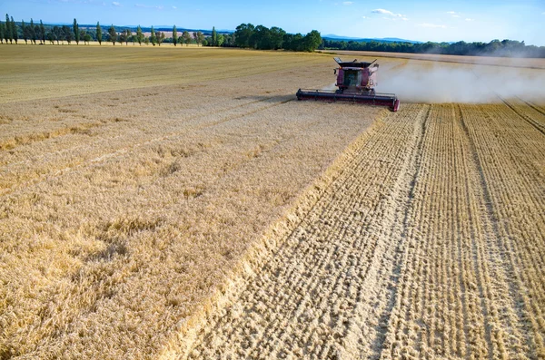 Kombinovat, pracující na poli pšenice — Stock fotografie
