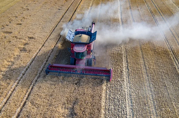 Combinar el trabajo en el campo de trigo — Foto de Stock