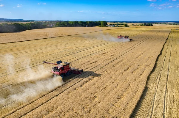 Combinar o trabalho no campo de trigo — Fotografia de Stock