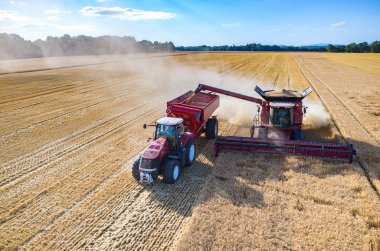 Kamyonu buğday tohumu ile doldurma