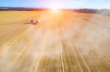 Yukarıda buğday sahada çalışan birleştirme gün batımı