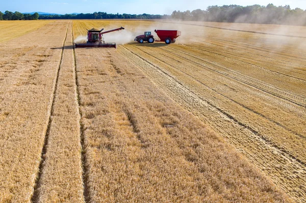 Riempire il camion di semi di grano — Foto Stock