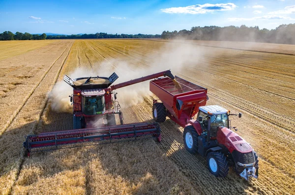 Заполнение грузовика семенами пшеницы — стоковое фото