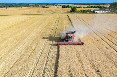 buğday alanında çalışan birleştirme