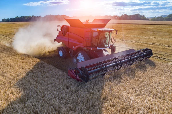 Закат над комбинатом работает на пшеничном поле — стоковое фото