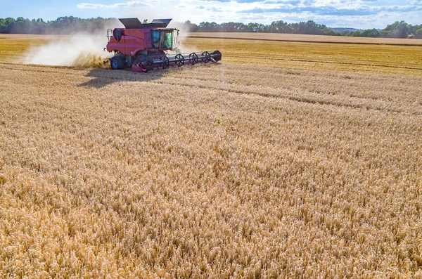 Комбинировать работу на пшеничном поле — стоковое фото