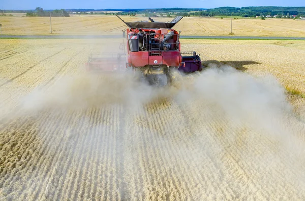 Kombinovat, pracující na poli pšenice — Stock fotografie
