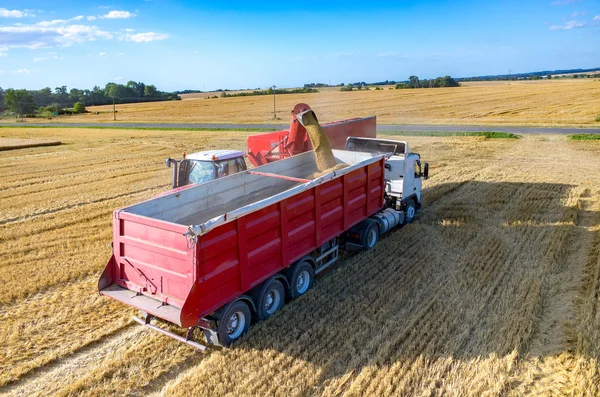 Füllen des Lastwagens mit Weizensamen — Stockfoto