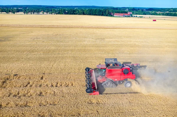 Combinar o trabalho no campo de trigo — Fotografia de Stock