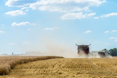 buğday alanında çalışan birleştirme