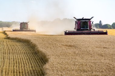 buğday alanında çalışan birleştirme