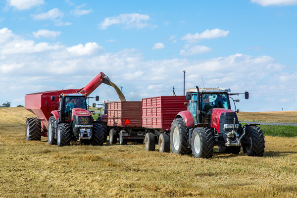 Заполнение грузовика семенами пшеницы
