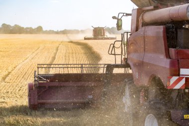 buğday alanında çalışan birleştirme