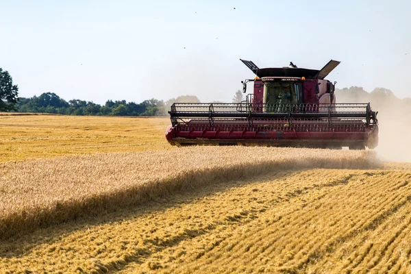 Combinare il lavoro sul campo di grano — Foto Stock