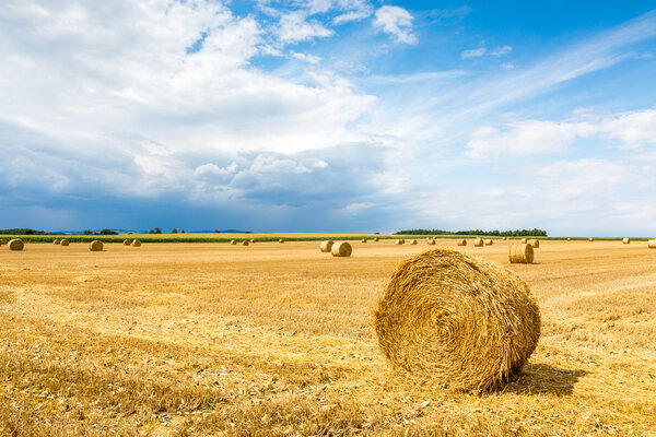 Hay bales