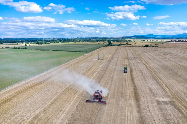 Combinar o trabalho no campo de trigo — Fotografia de Stock