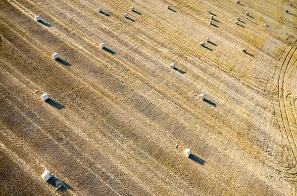 Hay bales — Stock Photo, Image