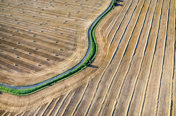 Hay bales — Stock Photo, Image