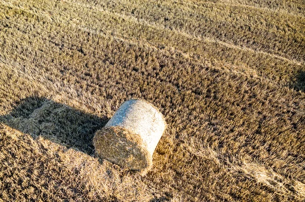 Heuballen — Stockfoto