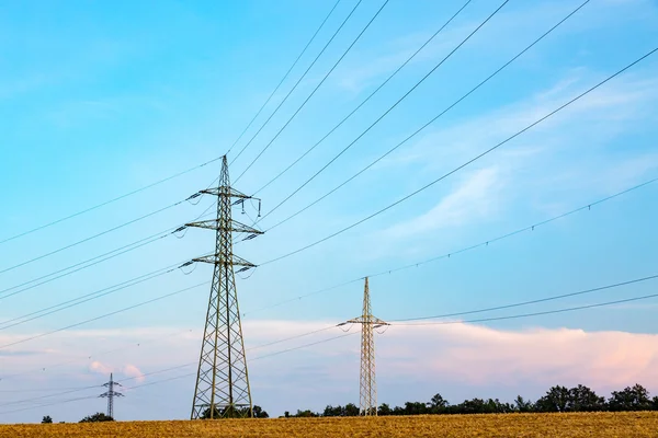Powerlines on the field — Stock Photo, Image