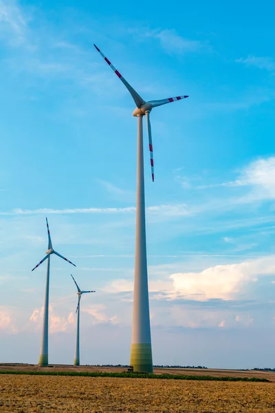 Molinos de viento en el campo — Foto de Stock