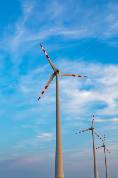 Molinos de viento en el campo — Foto de Stock