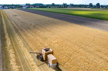 buğday alanında çalışan birleştirme