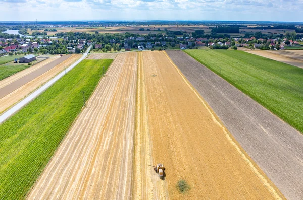 Mähdrescher arbeiten auf dem Weizenfeld — Stockfoto