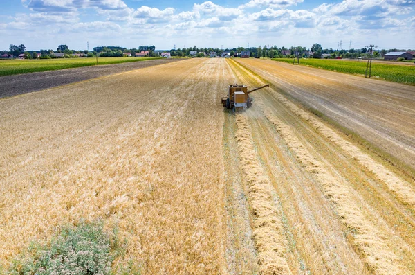 Combinar o trabalho no campo de trigo — Fotografia de Stock