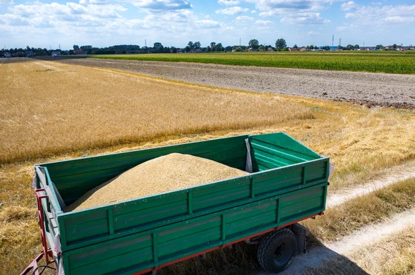 Rimorchio del camion — Foto Stock