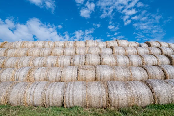 Hay bales on the feld — Stock Photo, Image