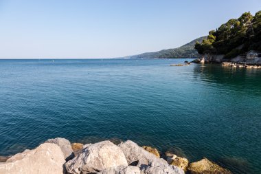 bay üzerinde göster