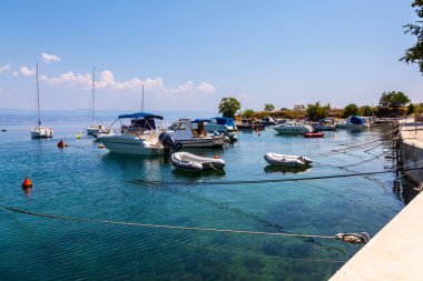 bay üzerinde göster