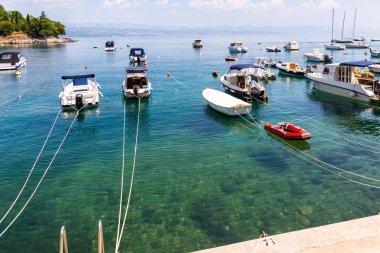 bay üzerinde göster