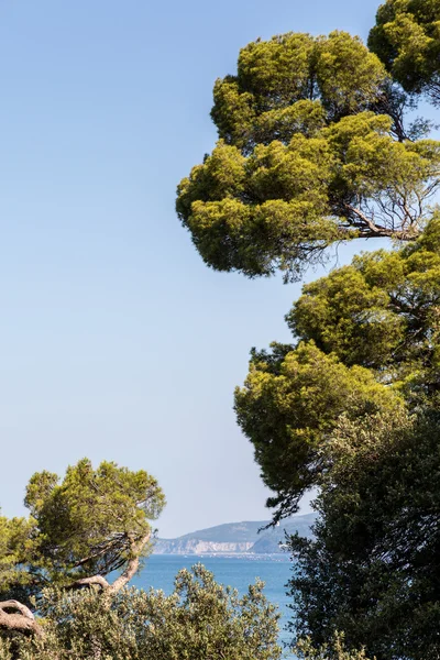 View on the bay — Stock Photo, Image