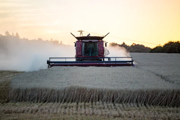 Werken aan het tarweveld combineren — Stockfoto