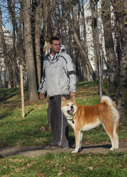 Proud man and his gorgeous dog — Stock Photo, Image